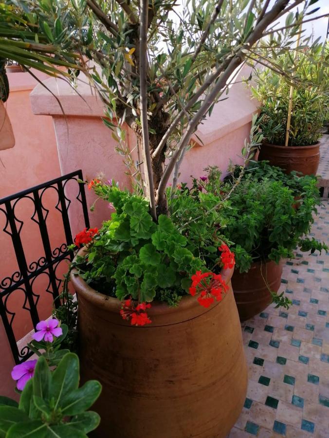 Riad Aventurine Marrakesch Exterior foto